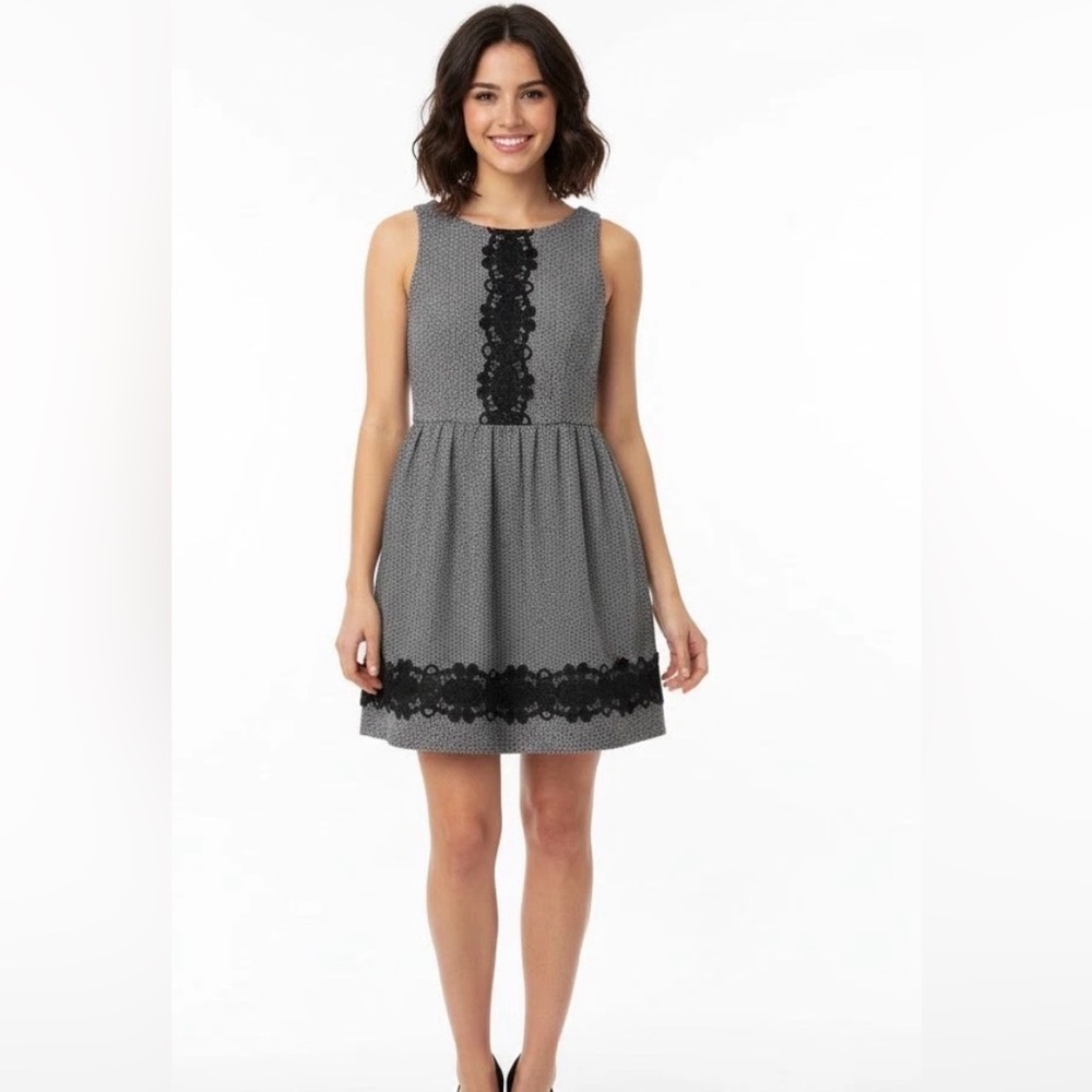 Altar'd State Black and Gray Sleeveless Lace-Trim Mini Dress - Picture 1 of 7